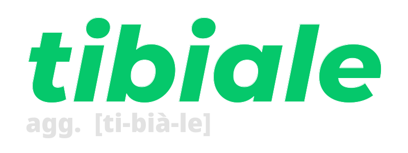 tibiale
