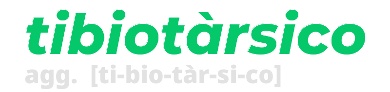 tibiotarsico