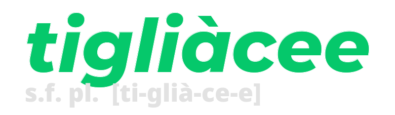 tigliacee