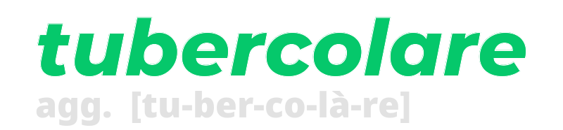 tubercolare