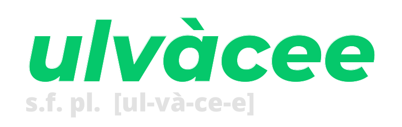 ulvacee