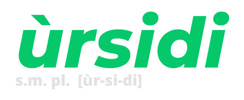 ursidi