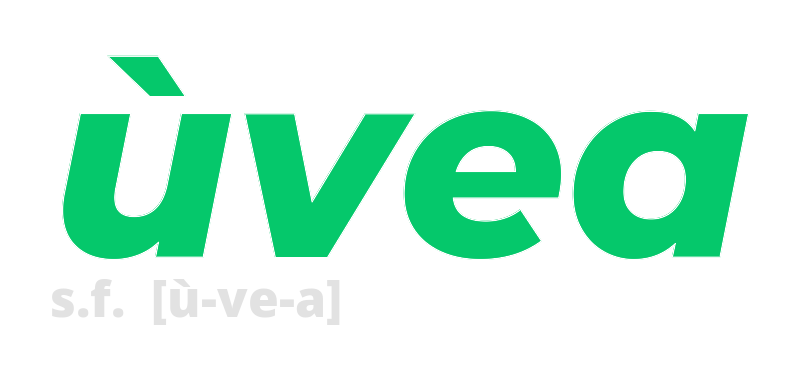 uvea