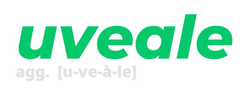 uveale