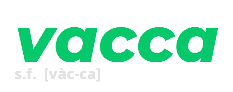 vacca