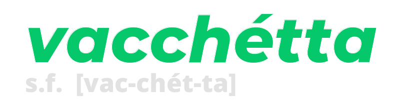 vacchetta