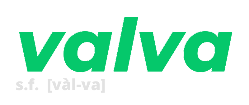 valva