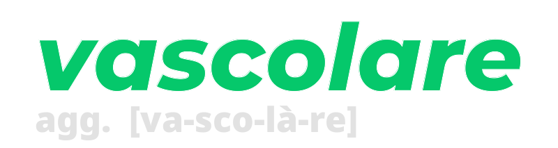 vascolare