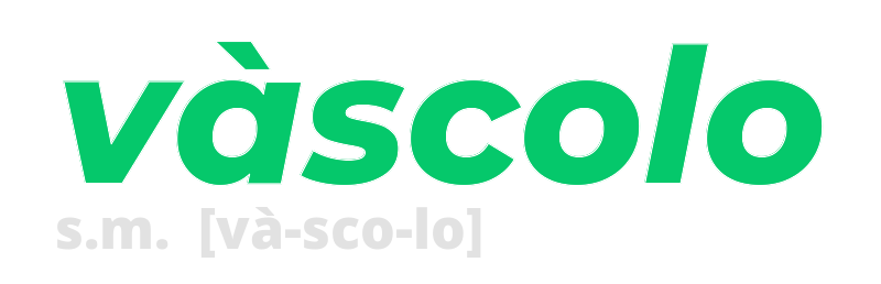 vascolo