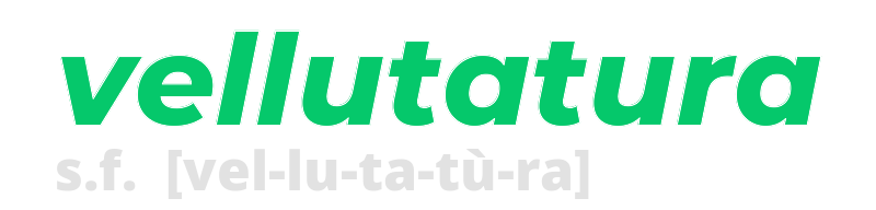 vellutatura