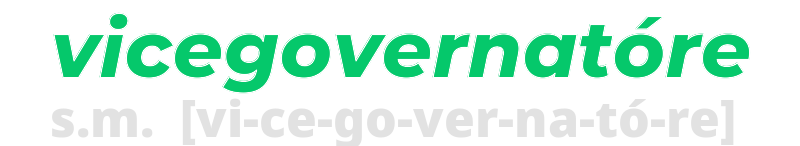 vicegovernatore