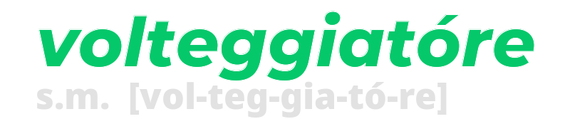 volteggiatore