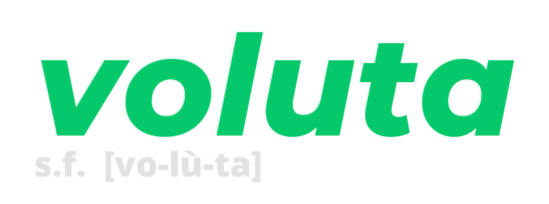 voluta