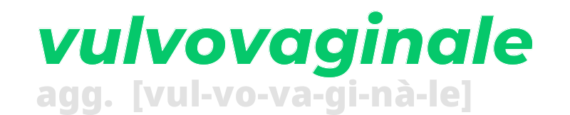 vulvovaginale