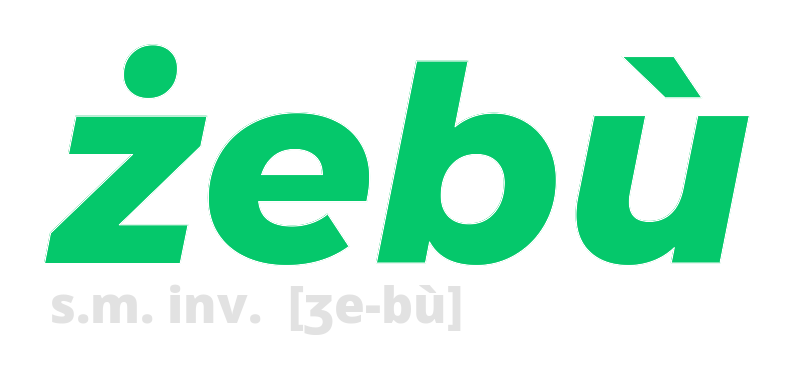 zebu