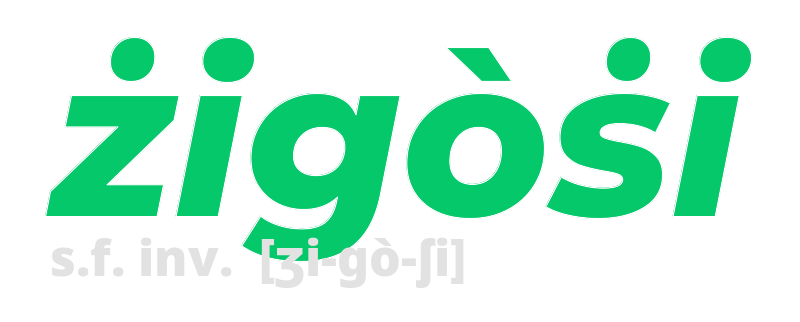 zigosi