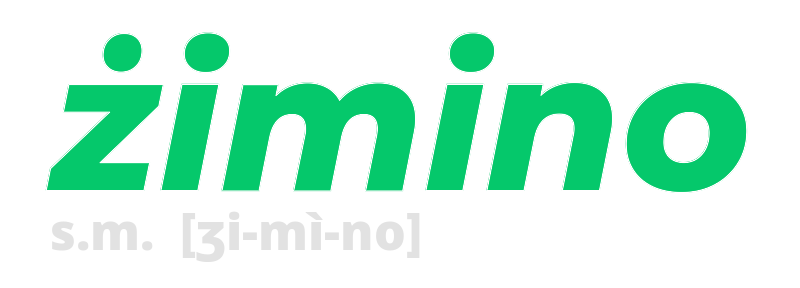 zimino