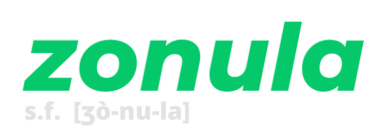 zonula