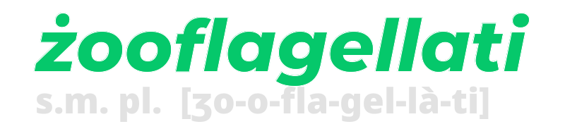 zooflagellati